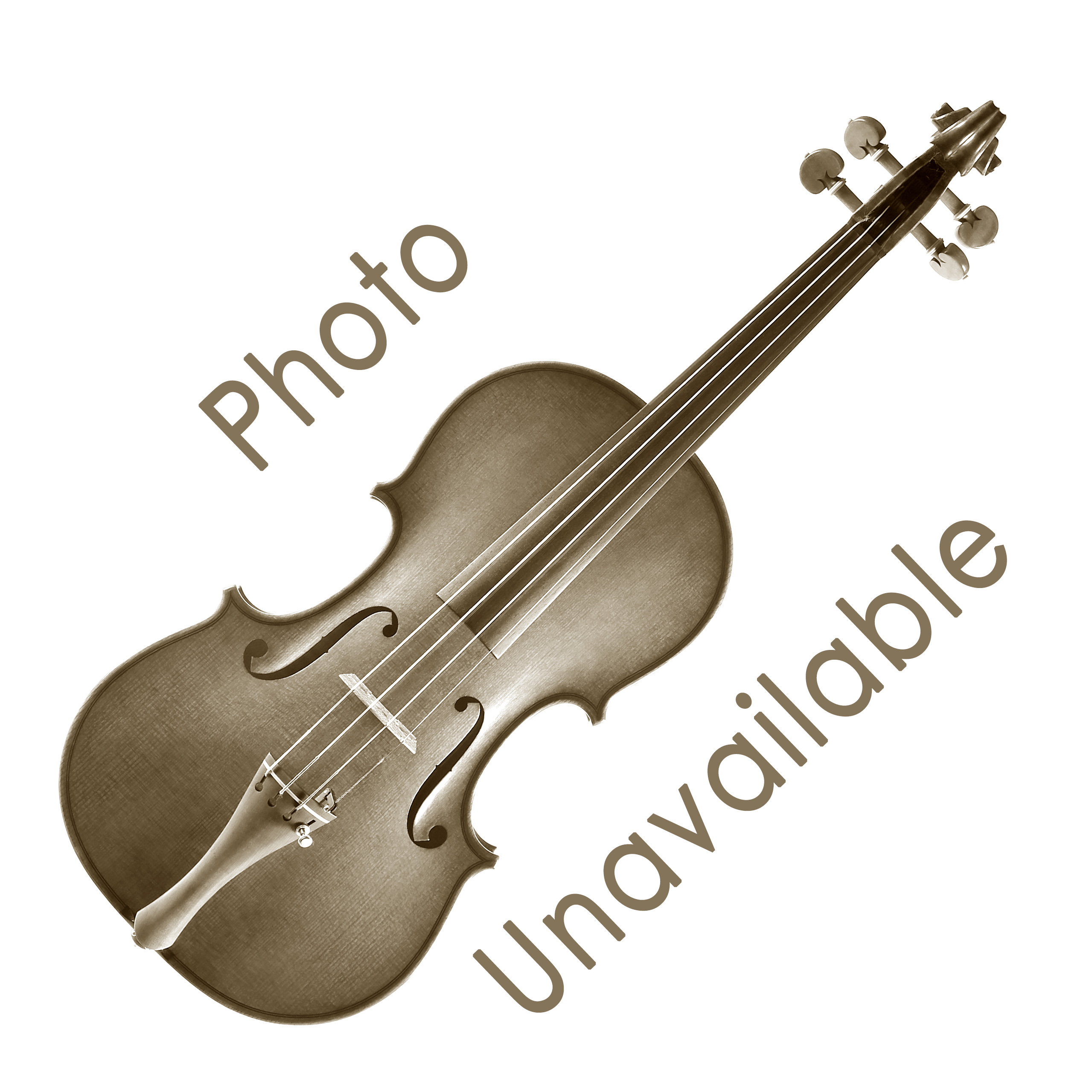Moneff, Angela - 4/4 Violin with Certificate (2019-1) Fiddleheads Violin  Studio